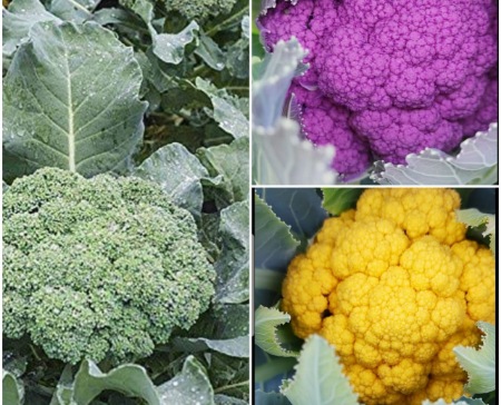 Picsart 23 02 24 22 00 03 617