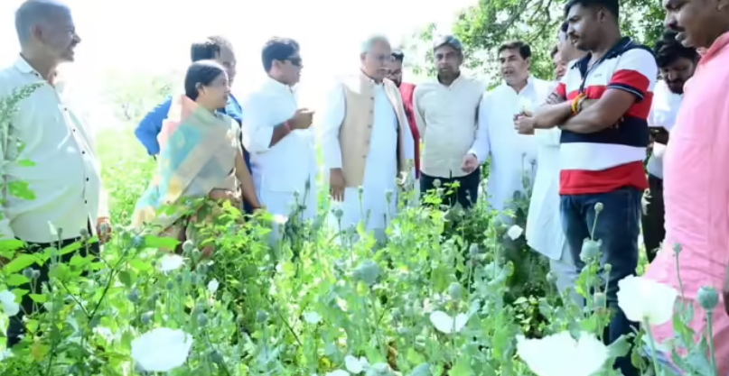 Opium Farming Row Bhupesh Baghel statement on illegal opium cultivation in Chhattisgarh