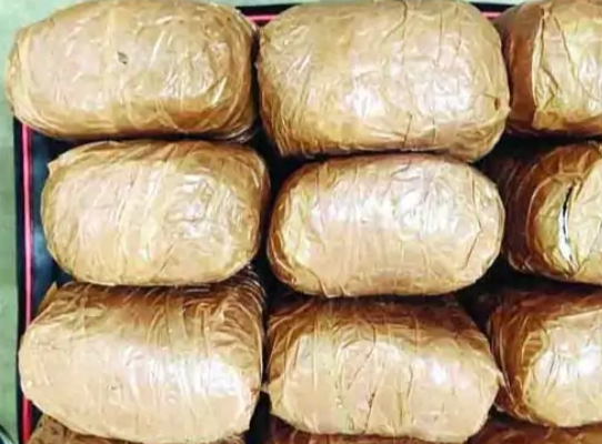 Raigarh News Chhattisgarh – GRP Seizes 12 KG Ganja