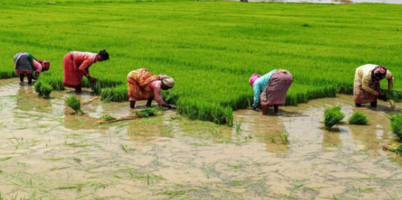 Screenshot 2026 03 25 225501