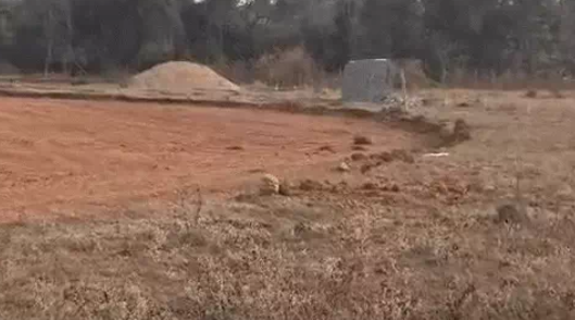 Screenshot 2026 03 26 084445