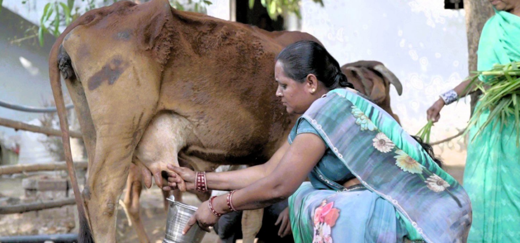 Screenshot 2026 04 08 232946