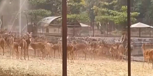 Screenshot 2026 04 25 110138